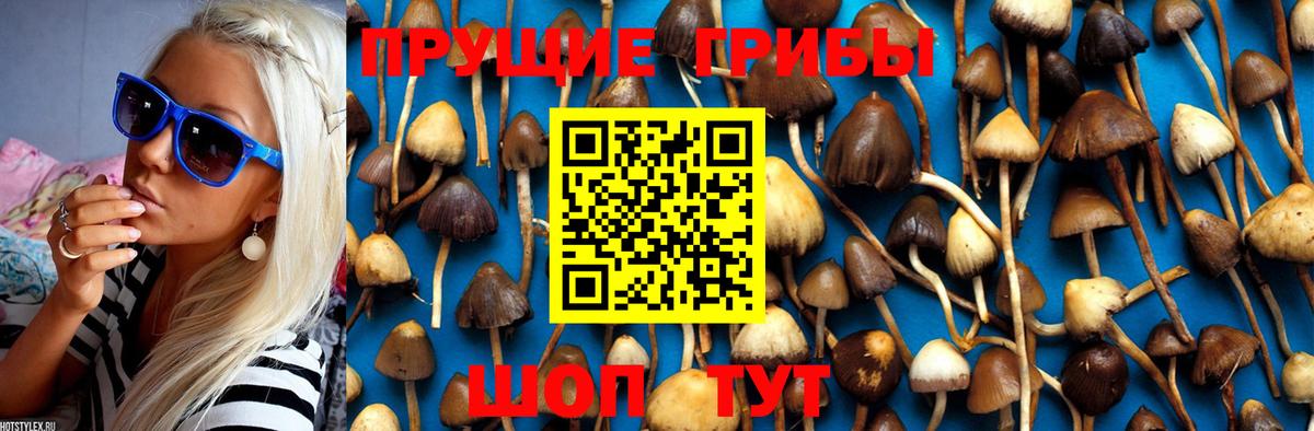 Элиста  Псилоцибиновые грибы Cubensis  Галлюциногенные грибы Magic Shrooms  Вход с VPN 