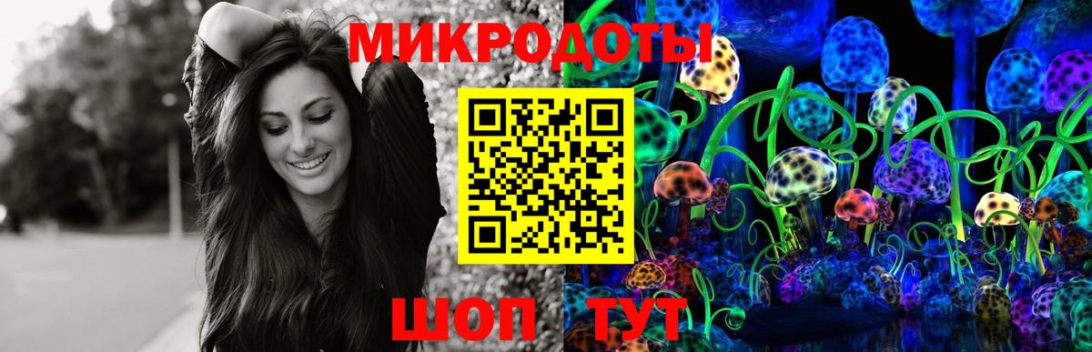 Галлюциногенные грибы мухоморы Элиста